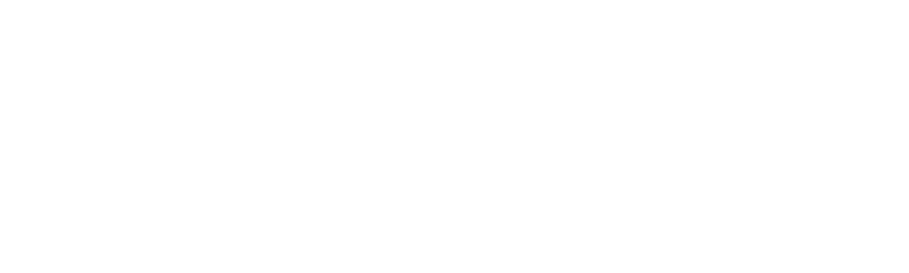 Texas Instruments